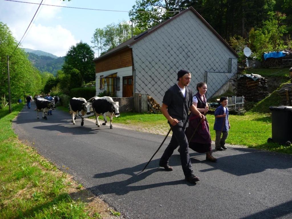 Chambres d'hôtes Les Rondins De La Fecht Mittlach Buitenkant foto